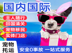 凯里黄平空运国际宠物托运 【国